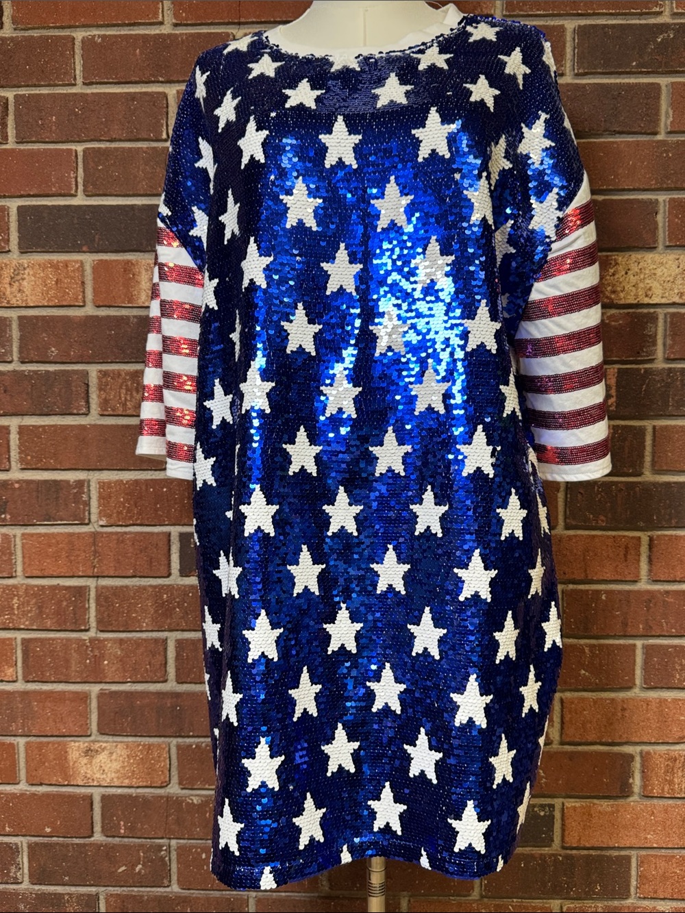 Fantastic Fawn Sequin Flag Oversized  T-shirt Dress Size Small